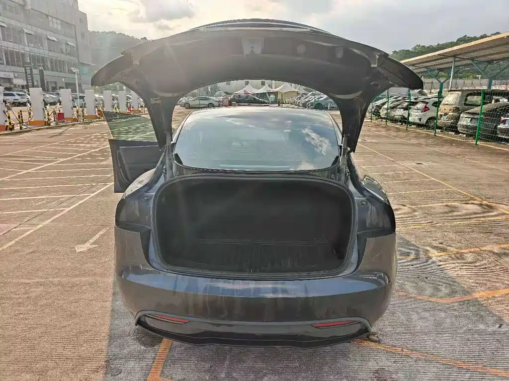 Tesla Model 3 — миниатюра 14