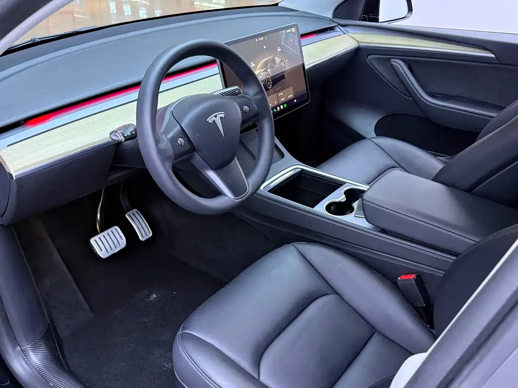Tesla Model Y — миниатюра 10