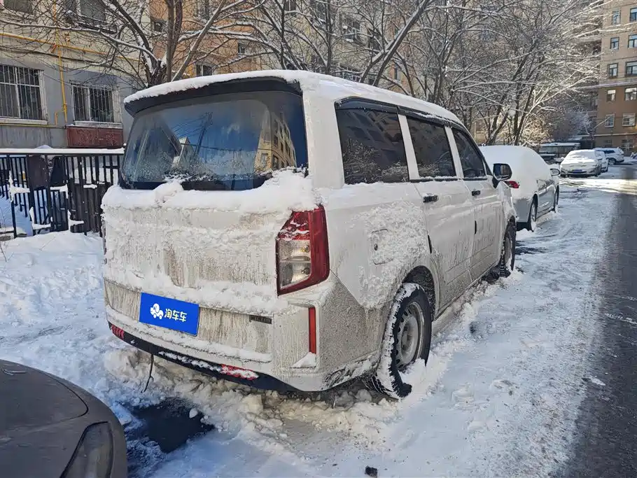 WULING WULING HONGGUANG PLUS