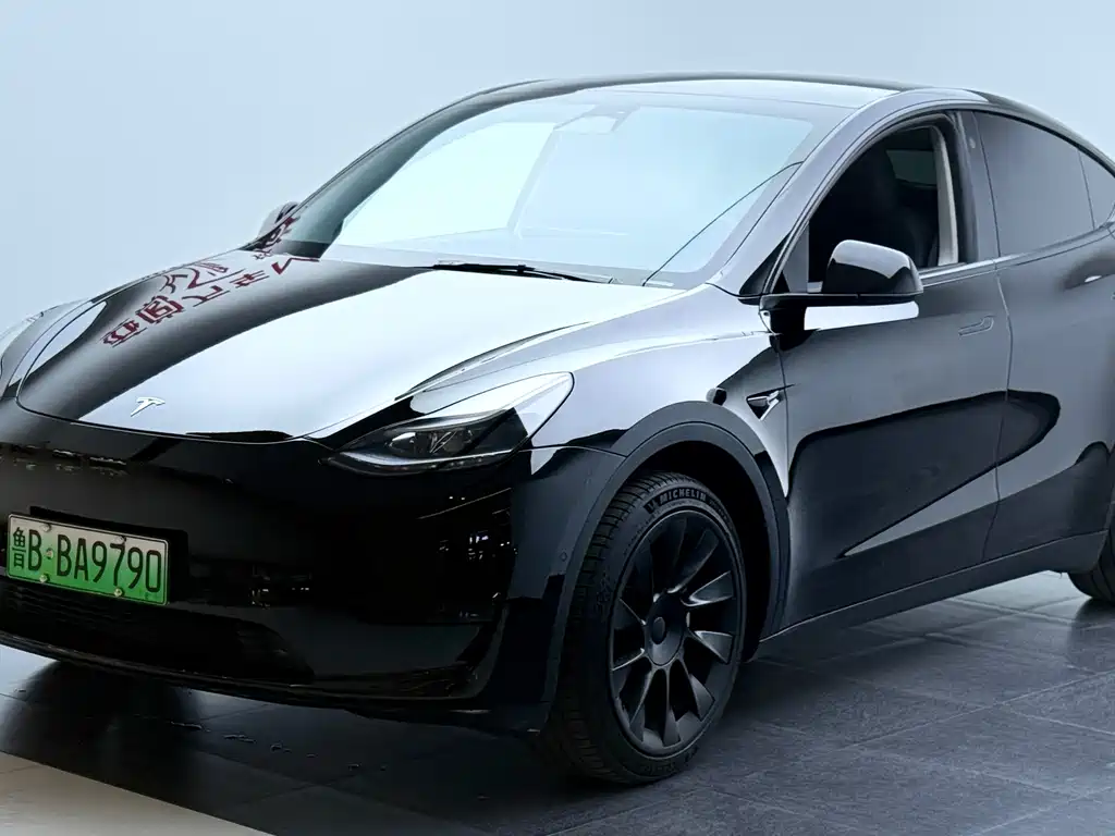 Tesla Model Y — миниатюра 2