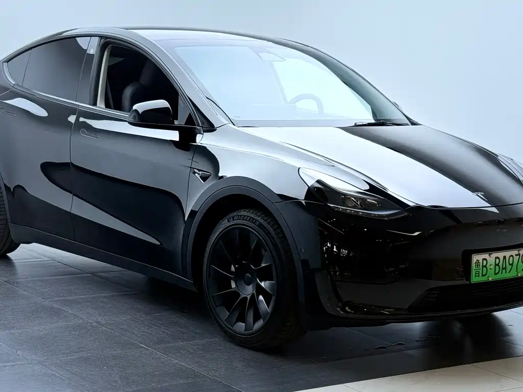 Tesla Model Y — миниатюра 6
