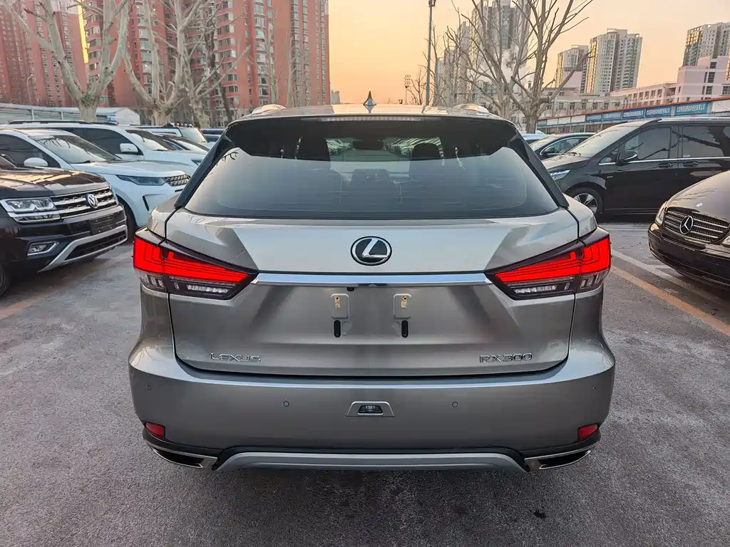 LEXUS RX