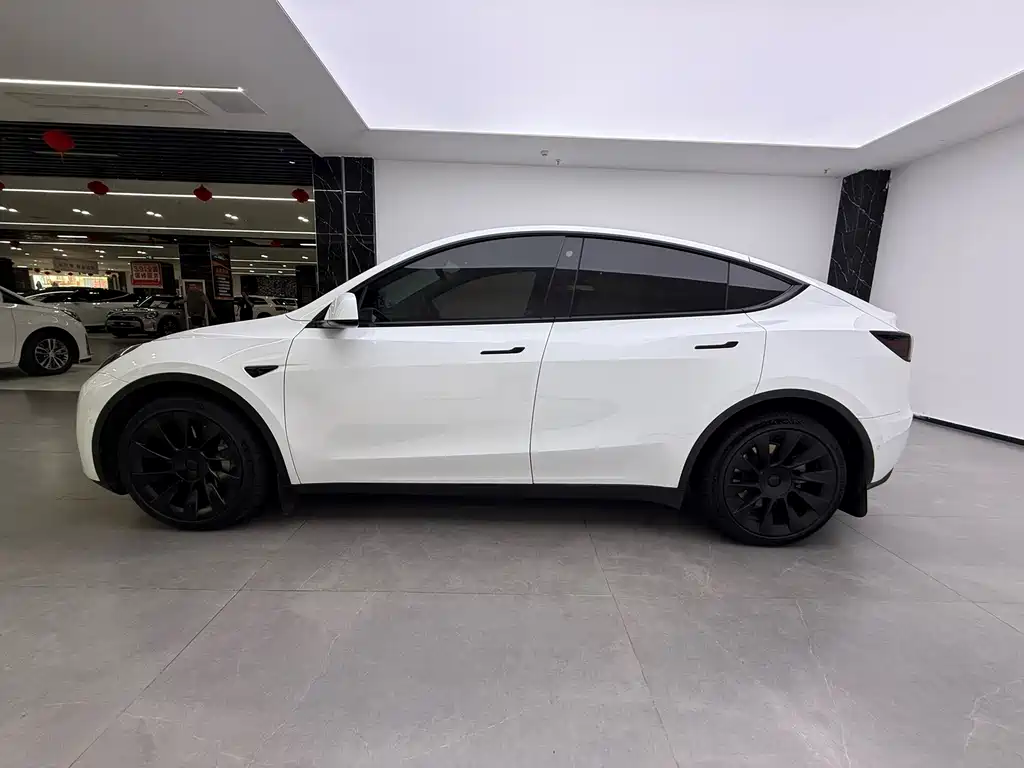 Tesla Model Y — миниатюра 5