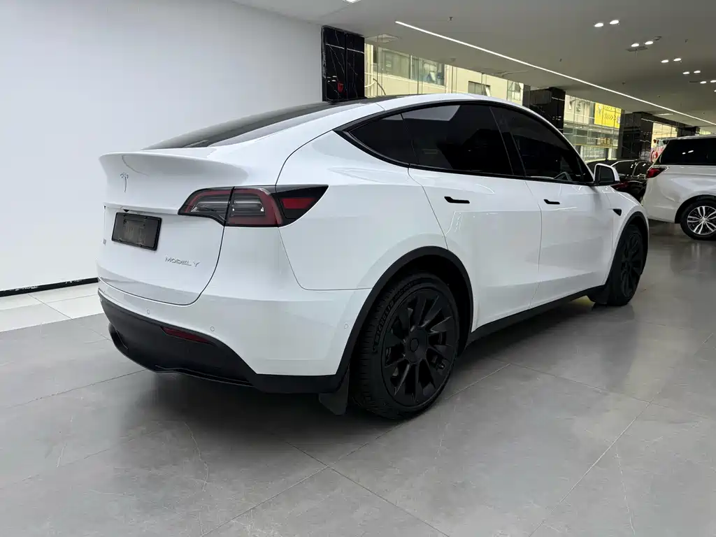 Tesla Model Y — миниатюра 3