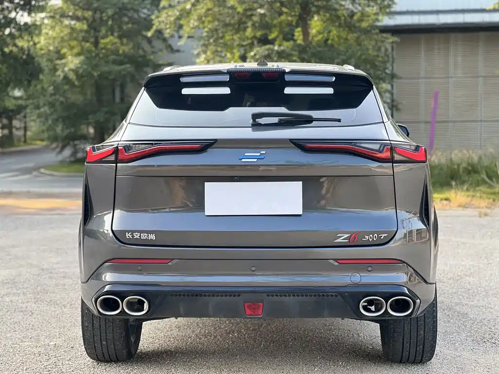 Oshan Oushang Z6 — миниатюра 17