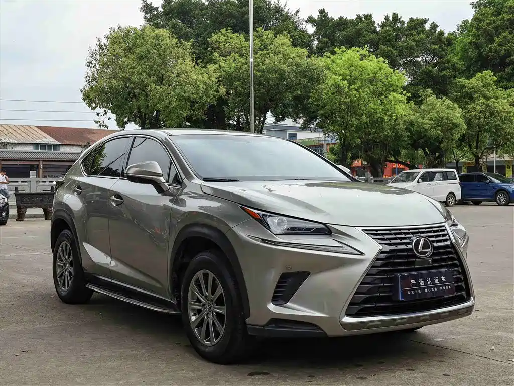 Lexus NX 200 FWD Edge Travel Edition China V, фото 3