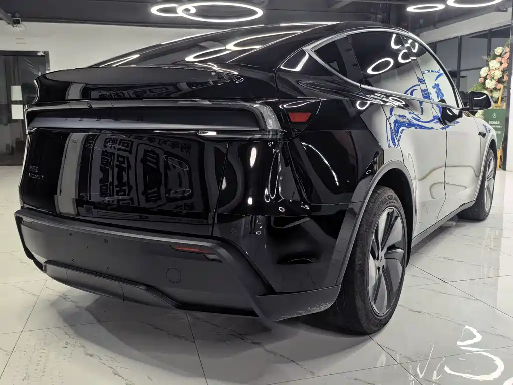 Tesla Model Y — миниатюра 7