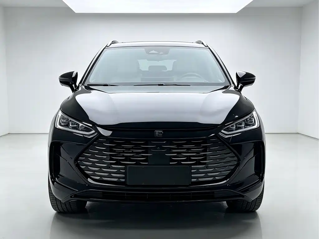 BYD Tang New Energy — миниатюра 2