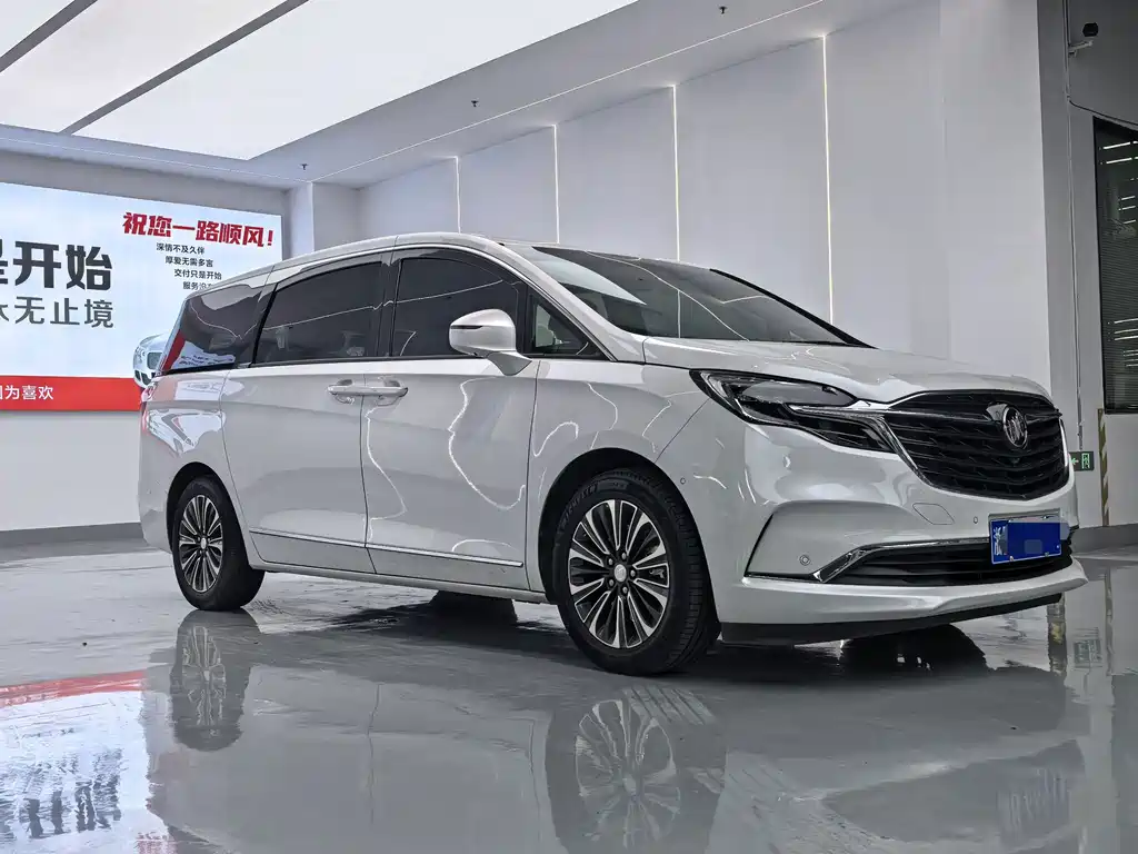 Buick GL8 — миниатюра 3