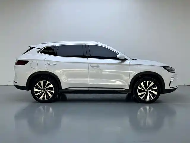 BYD SONGJIANG NEW ENERGY