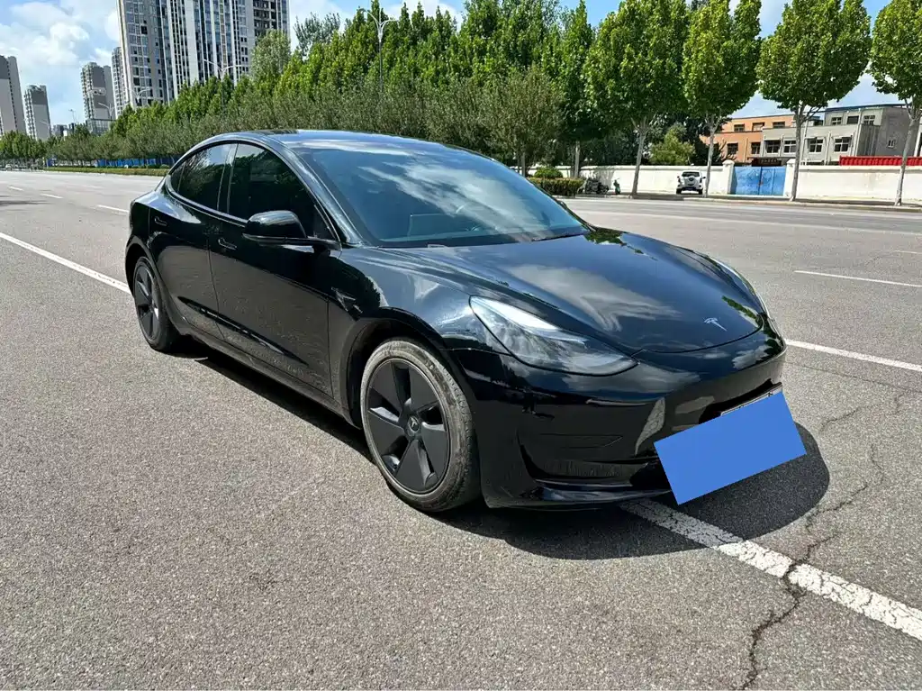Tesla Model 3 — миниатюра 3
