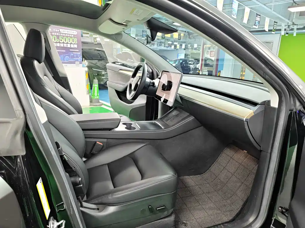 Tesla Model Y — миниатюра 7