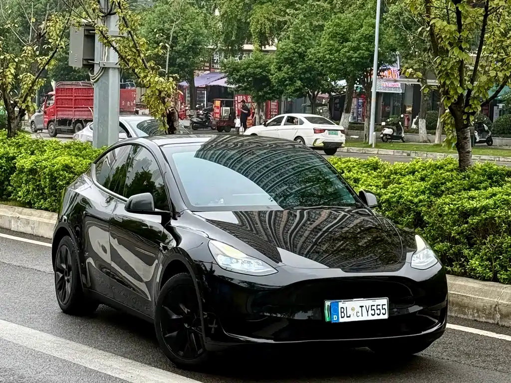 Tesla Model Y — миниатюра 3