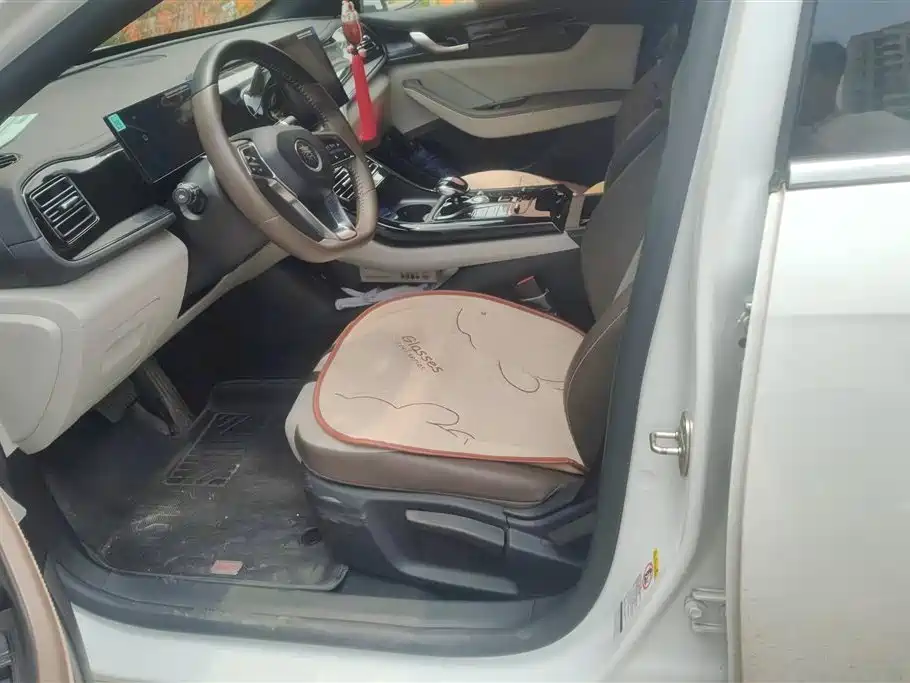 BYD Qin Plus PLUS 2024 DM-i 55KM Lead