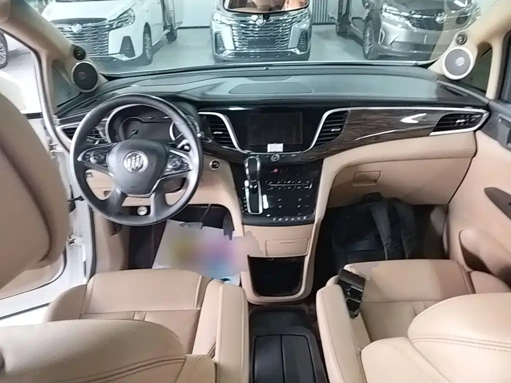 Buick GL8 — миниатюра 10