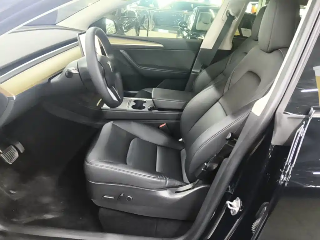Tesla Model Y — миниатюра 15