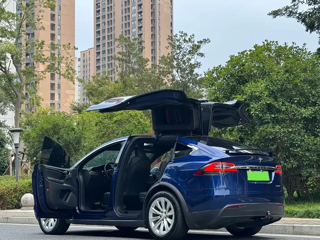 Tesla Model X — миниатюра 15