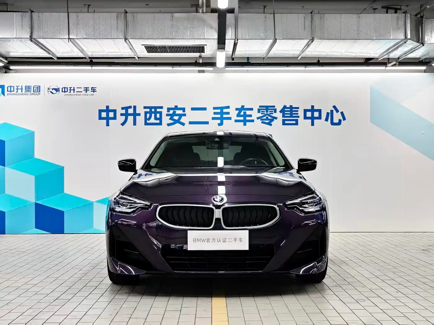BMW 2 Series (Import)