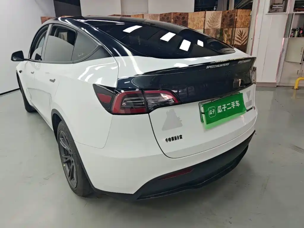 Tesla Model Y — миниатюра 5