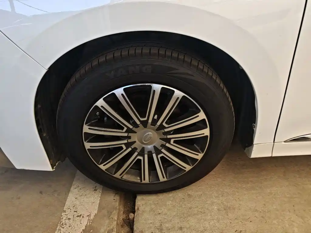 GAC Motor Trumpchi M8 — миниатюра 23