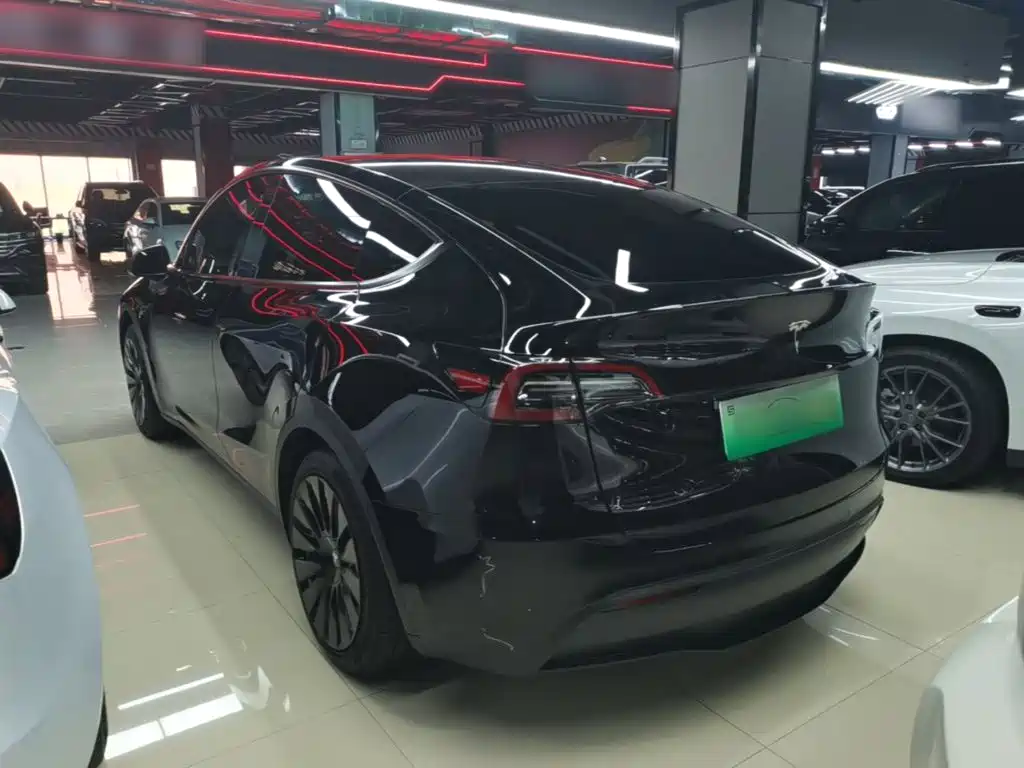 Tesla Model Y — миниатюра 5