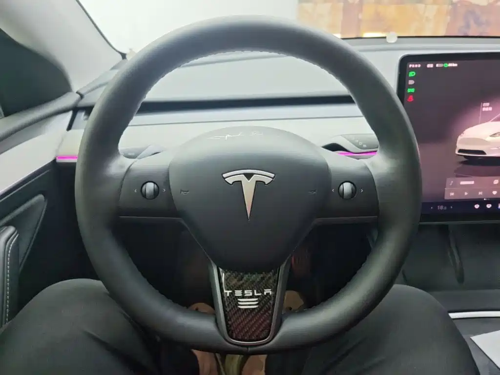 Tesla Model Y — миниатюра 11