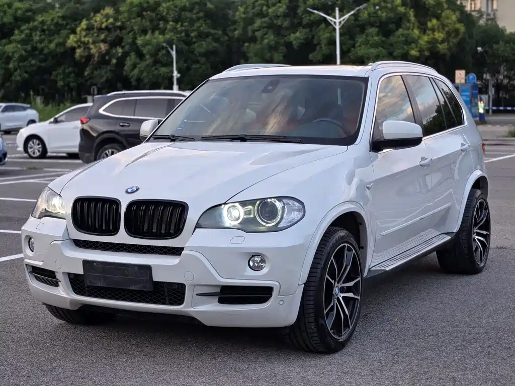 BMW X5 (Import) 2010