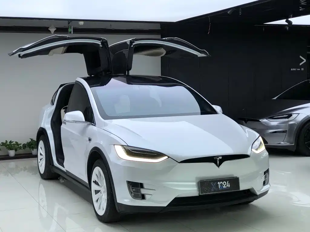 Tesla Model X — миниатюра 3