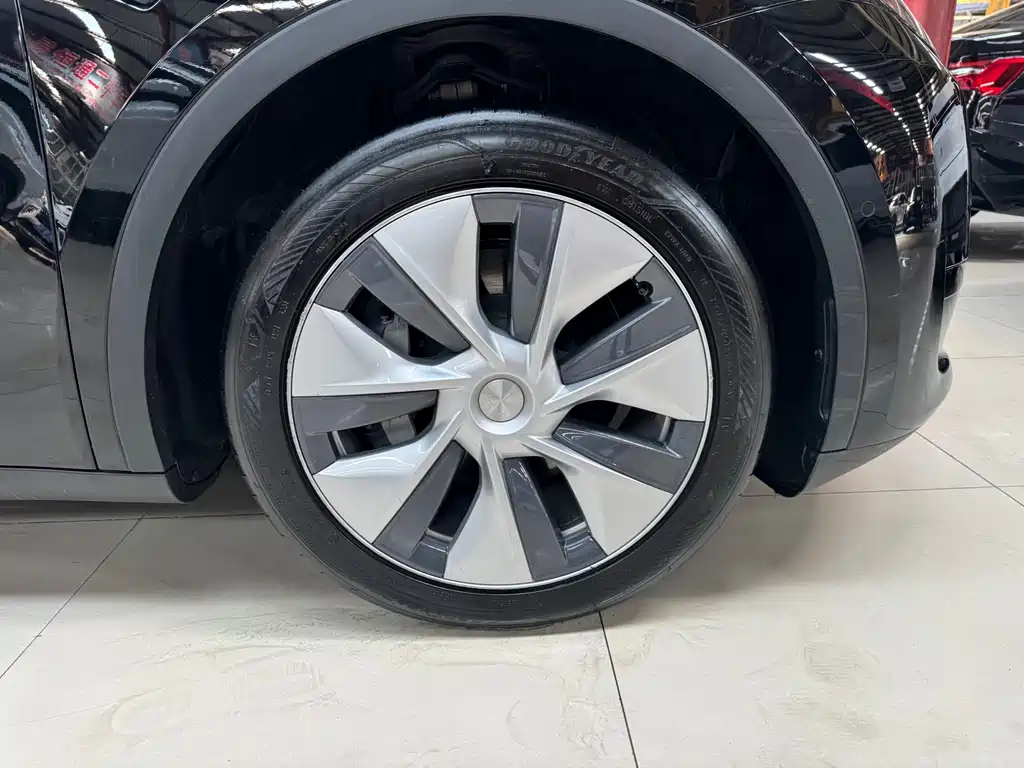 Tesla Model Y — миниатюра 11