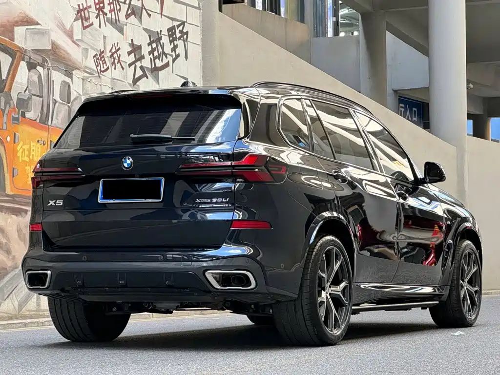 BMW X5 — миниатюра 5