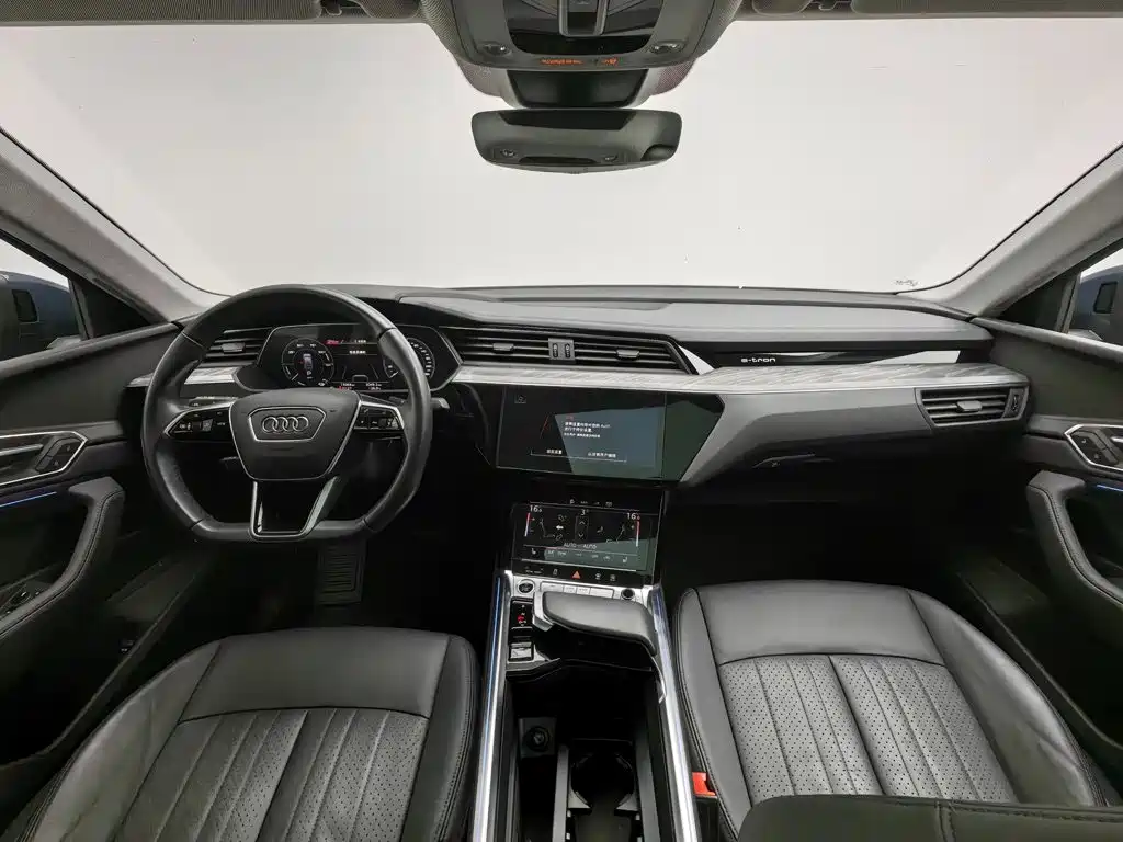 Audi e-tron (Import) — миниатюра 5