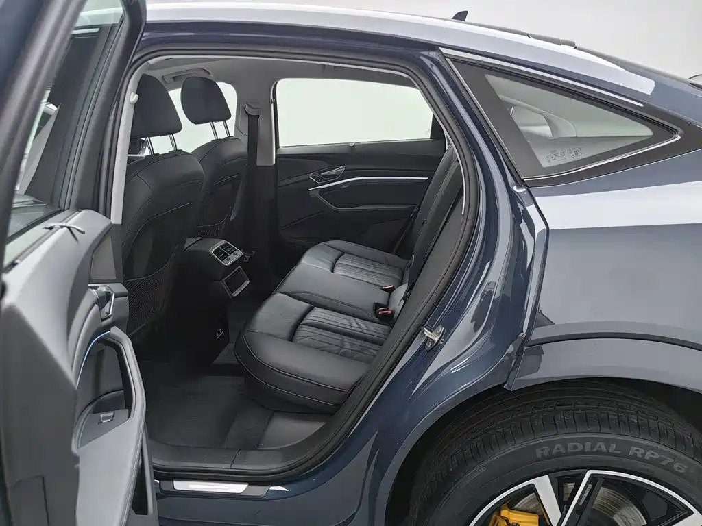 Audi e-tron (Import) — миниатюра 15