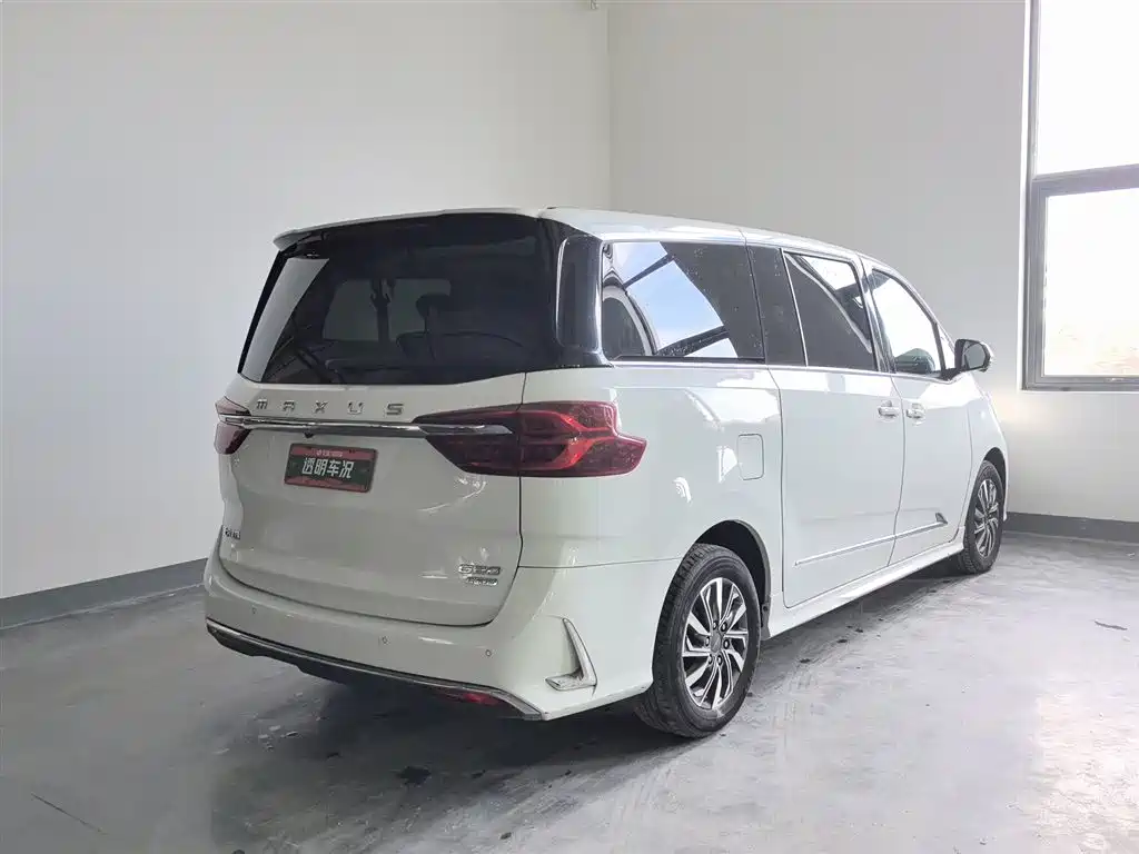 SAIC MAXUS CHASE G20