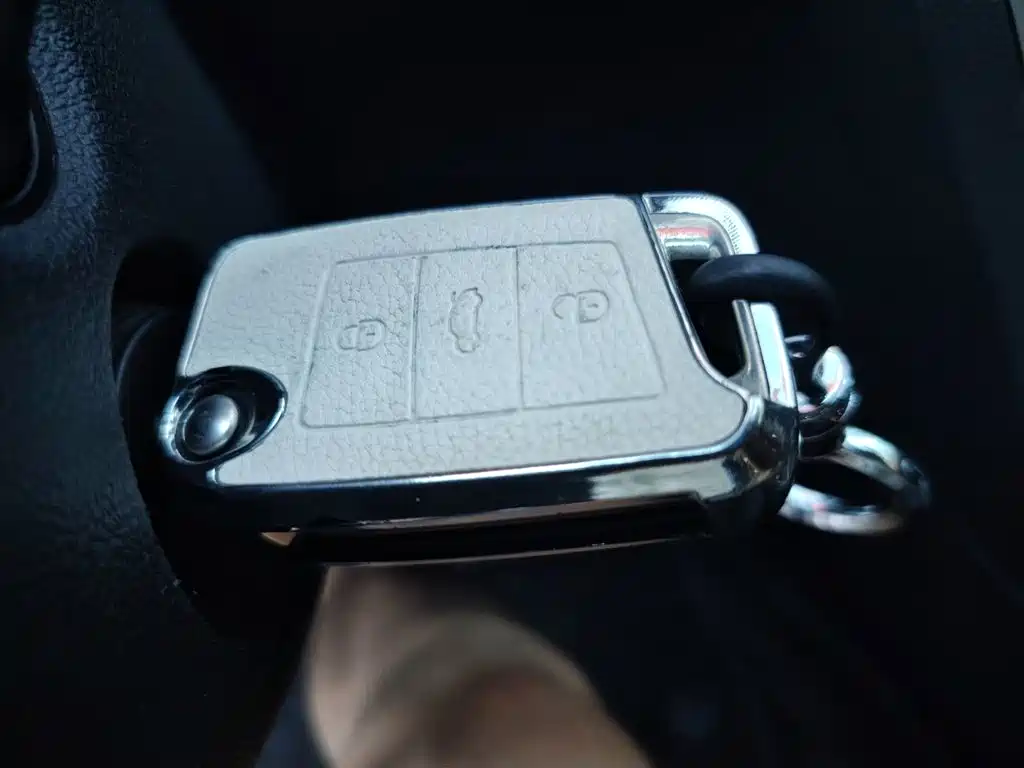 Volkswagen Lamando — миниатюра 12