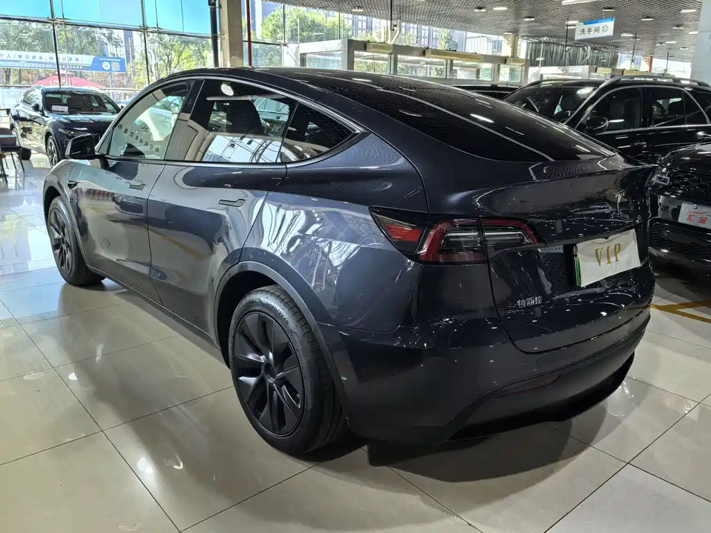 Tesla Model Y — миниатюра 17