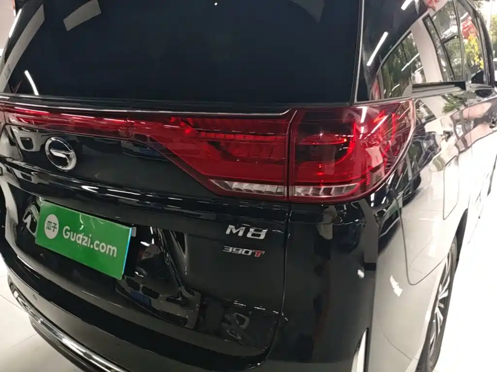 GAC Motor Trumpchi M8 — миниатюра 8