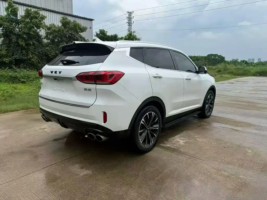 Wey Wey VV6 — миниатюра 7