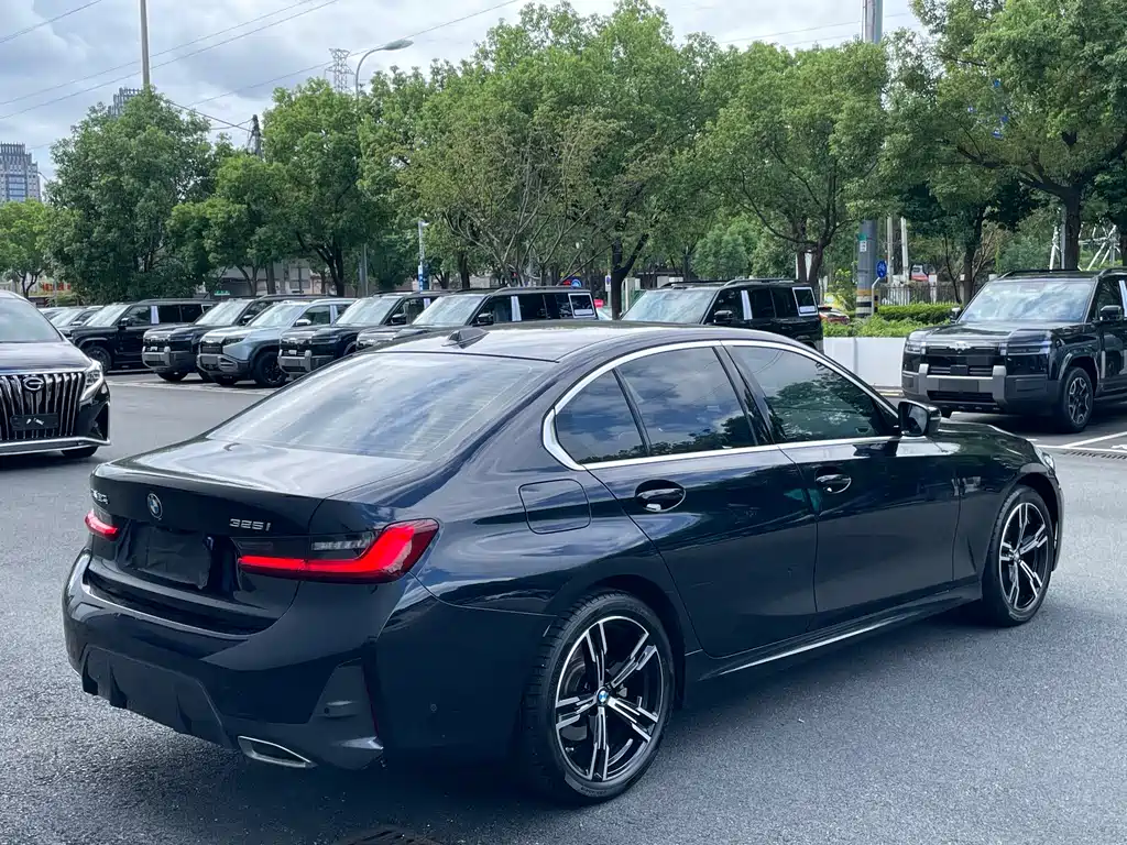 BMW 3 Series — миниатюра 25