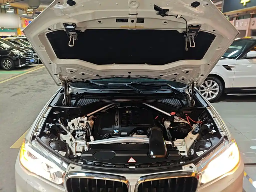 BMW X5 (Import) — миниатюра 20