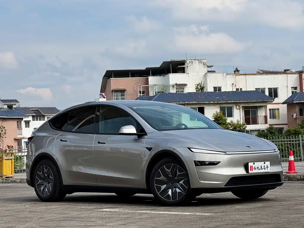 Tesla Model Y L — миниатюра 3