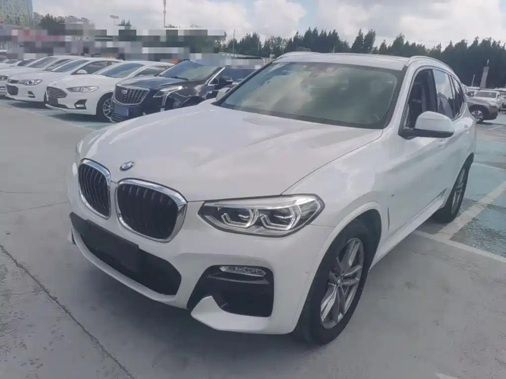 BMW X3 — миниатюра 2