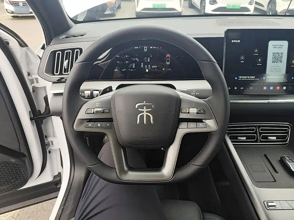BYD Pro New Energy — миниатюра 11