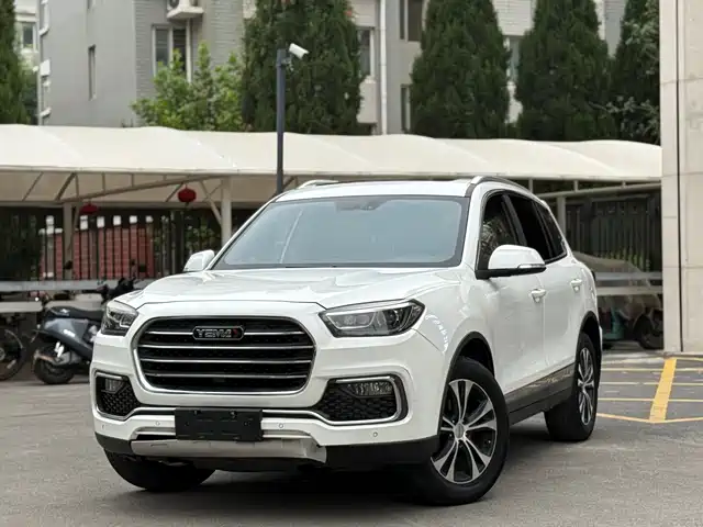 MUSTANG MOTORS MUSTANG T80 2018