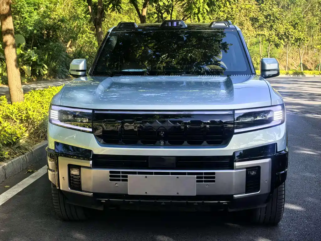 FANG CHENG BAO LEOPARD 8