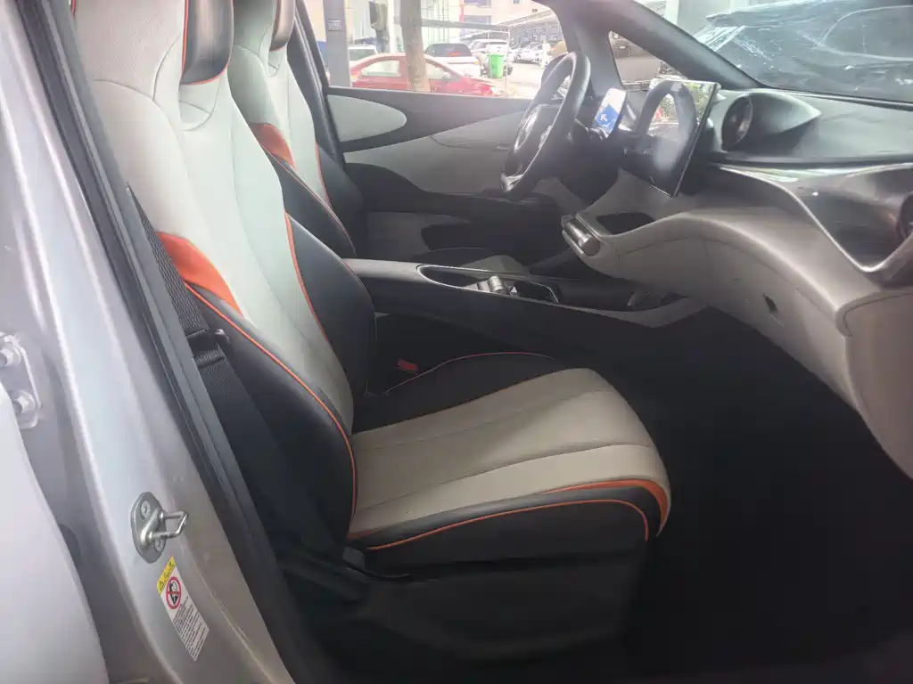 BYD Dolphin 2021 405km Fashion