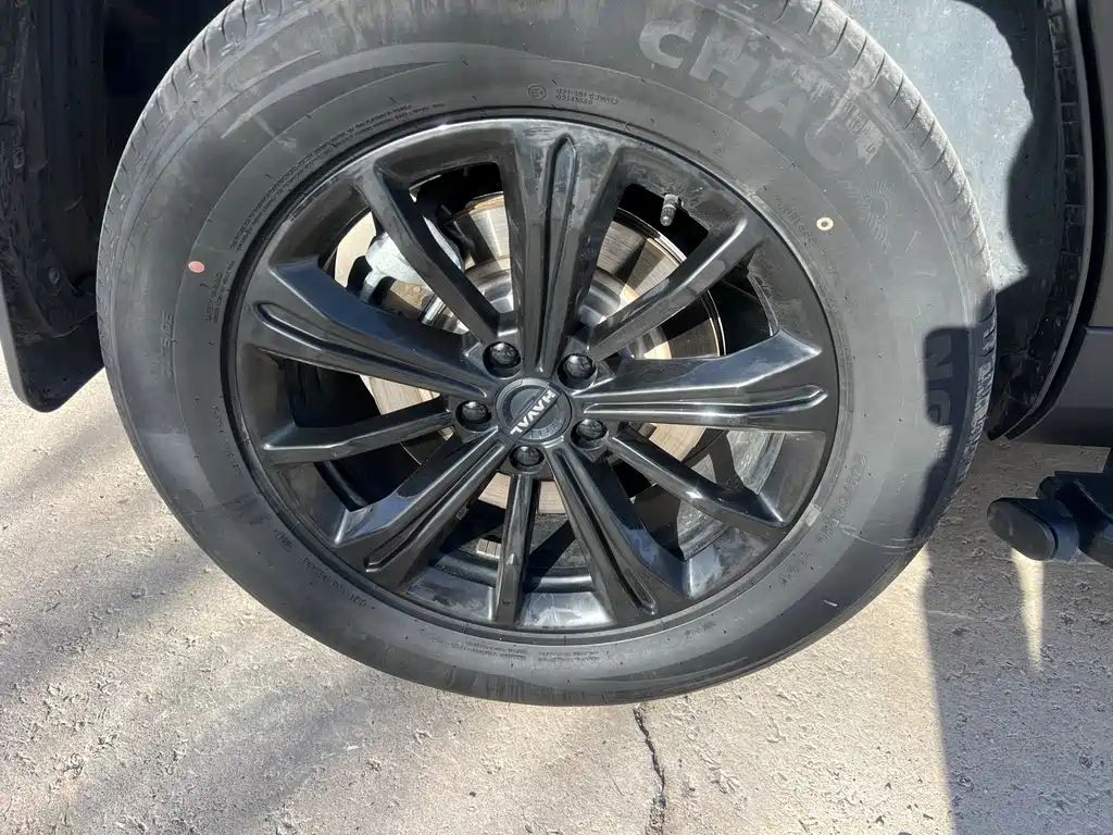 HAVAL RAPTORS NEW ENERGY