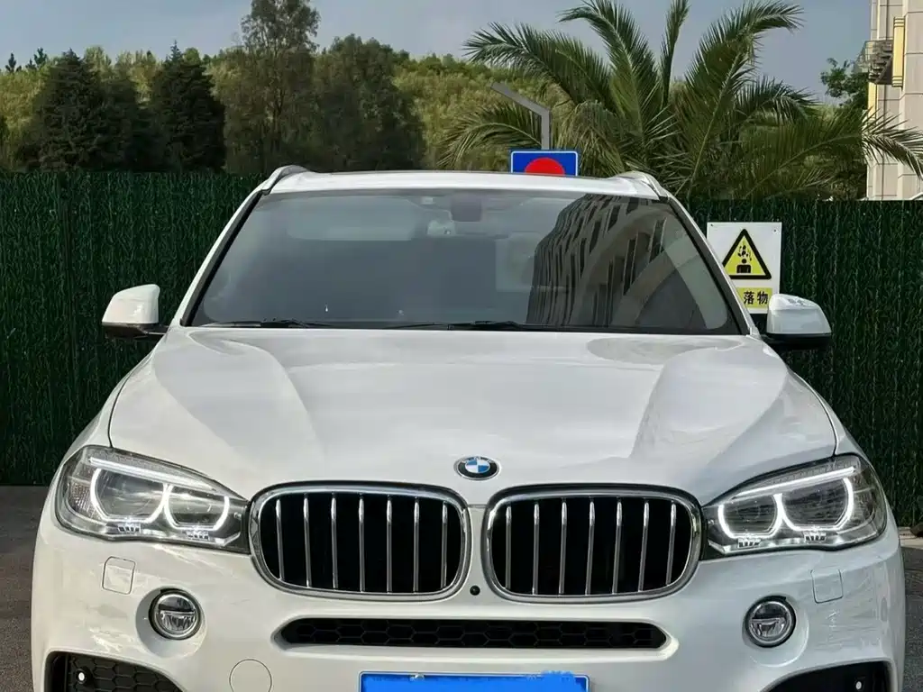 BMW X5 (Import) — миниатюра 2