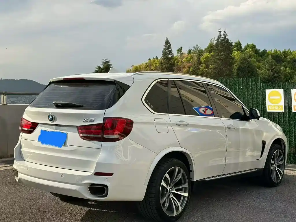 BMW X5 (Import) — миниатюра 9