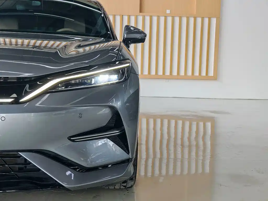 BYD L EV — миниатюра 8