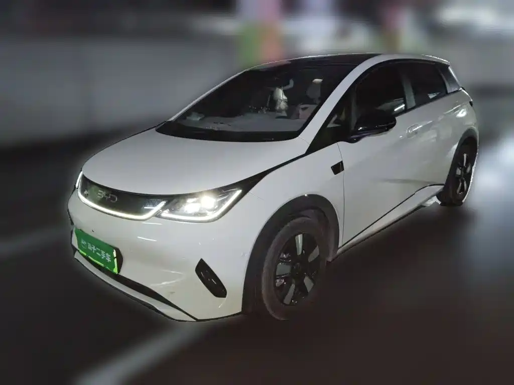 BYD Dolphin — миниатюра 2